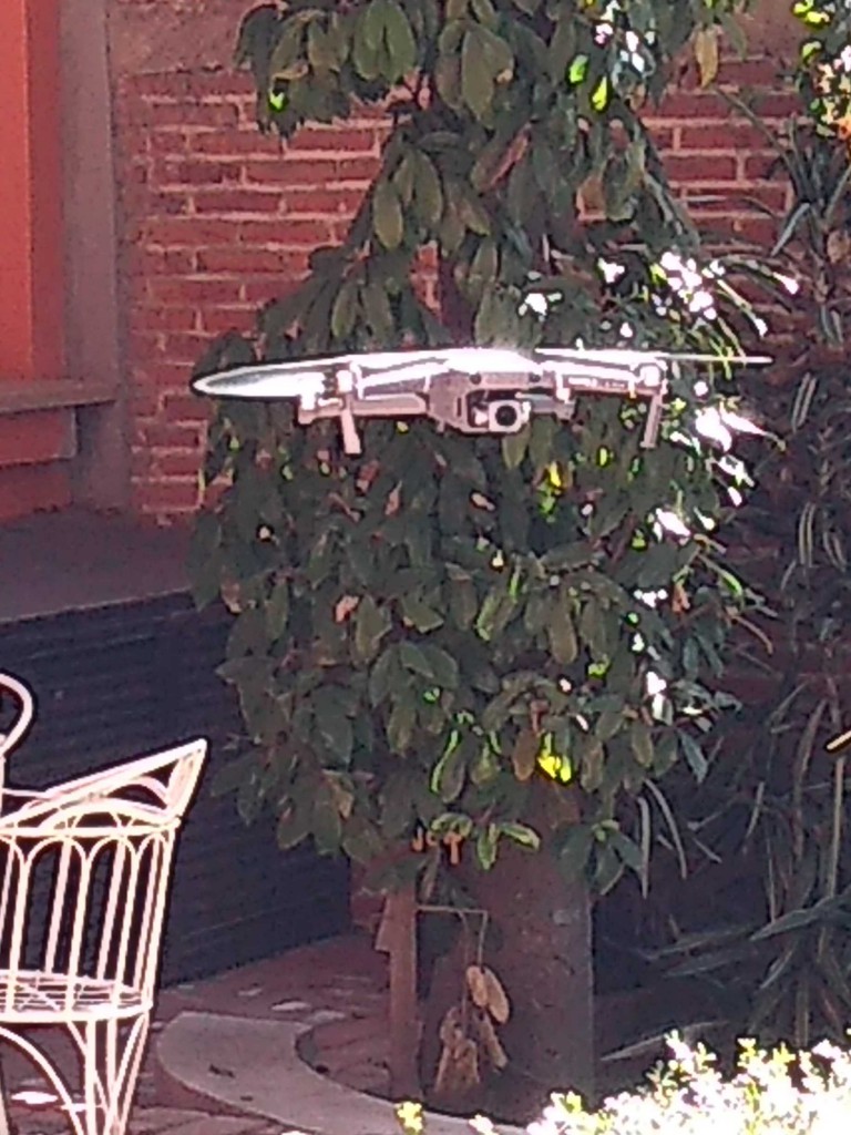 IMG_20200104_133612391